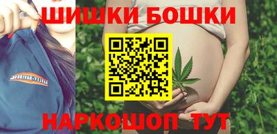 стаф Заводоуковск