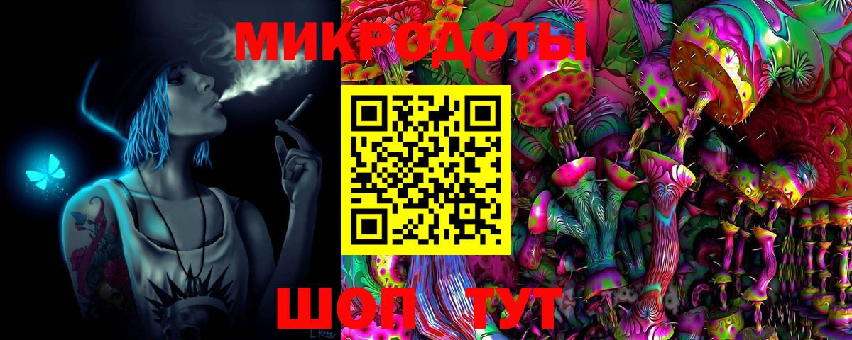 Псилоцибиновые грибы Psilocybine cubensis Волоколамск