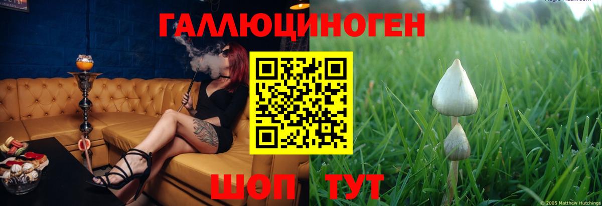 Волоколамск  Псилоцибиновые грибы мицелий  Вход с VPN  Псилоцибиновые грибы ЛСД 